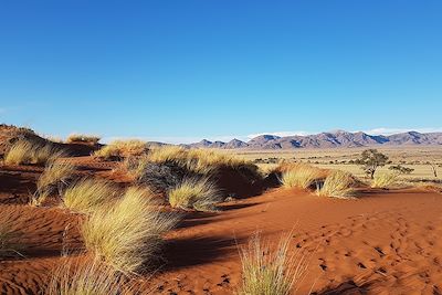 Voyage  Désert du Namib