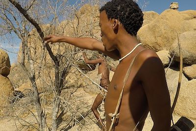 Découverte Namibie