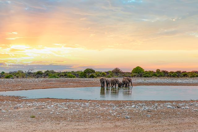 Safari : Les grands espaces de Namibie Voyage Les grands espaces de Namibie