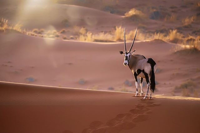 Safari : Safari, dunes et ethnies Voyage Safari, dunes et ethnies