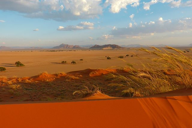 Safari : Safari, dunes et ethnies Voyage Safari, dunes et ethnies