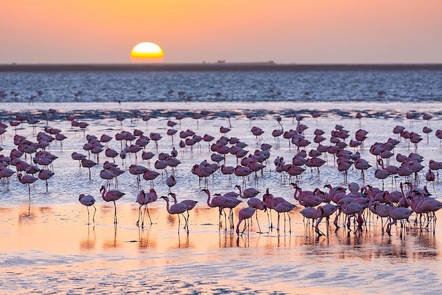 Bord de mer et îles : Du désert namibien à l'océan Indien Voyage Du désert namibien à l'océan Indien