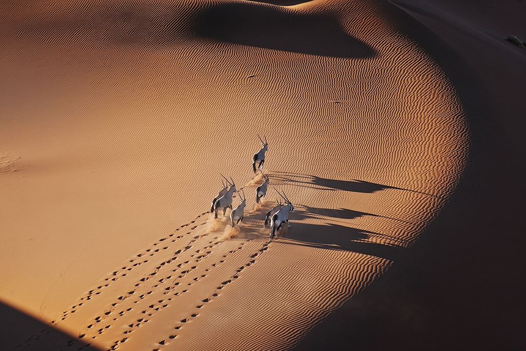 Voyage Désert du Namib