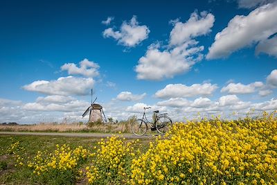 Voyage Patrimoine et Nature Pays-Bas