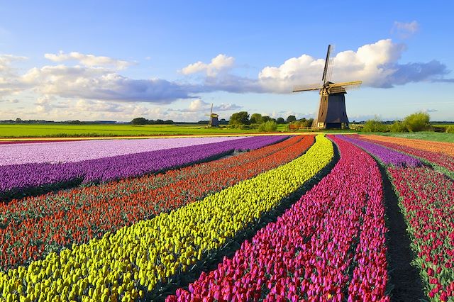 Voyage : Vélo et péniche, les tulipes au fil de l’eau Voyage Vélo et péniche, les tulipes au fil de l’eau