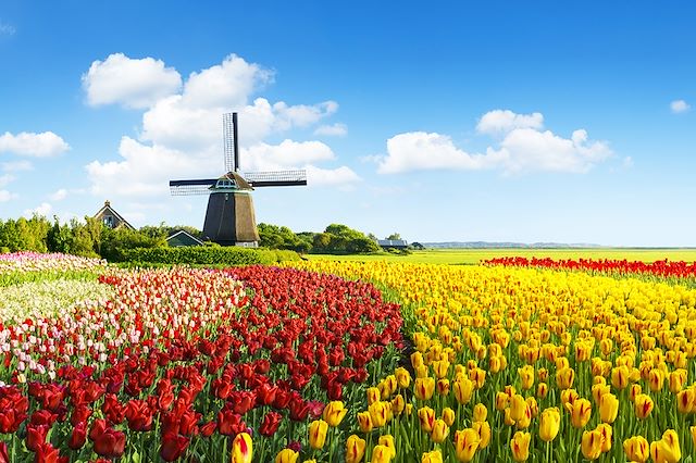 Voyage : Vélo et péniche, les tulipes au fil de l’eau Voyage Vélo et péniche, les tulipes au fil de l’eau