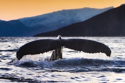 Norvège : Voyages en famille