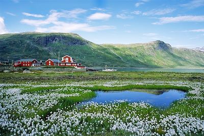 Voyage Région des fjords