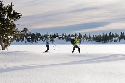 Circuits accompagnés Norvège