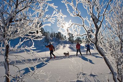Norvège : Voyages sur mesure
