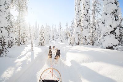 Aurores boréales Norvège