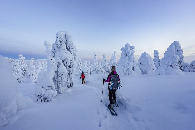 Aurores boréales : Aventures hivernales au cœur de la Laponie Voyage Aventures hivernales au cœur de la Laponie