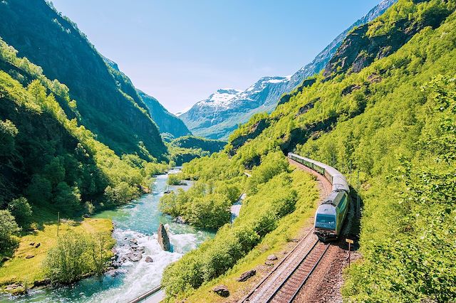 Voyage : D'Oslo à Bergen en train et magnifique Sognefjord Voyage D'Oslo à Bergen en train et magnifique Sognefjord