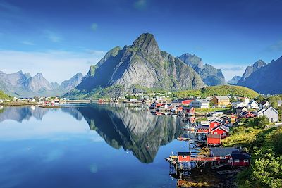 Voyage  Iles Lofoten