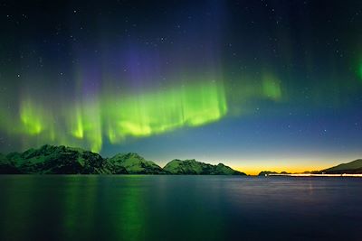 Aurores boréales Iles Lofoten