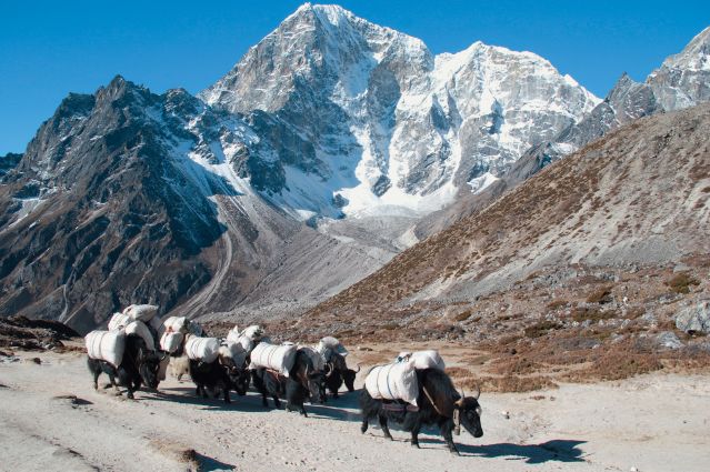 Voyage Kala Pattar, panorama sur l'Everest