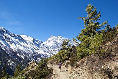 Trek Népal