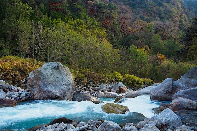 Voyage : Lacs de Gosainkund et vallée du Langtang Voyage Lacs de Gosainkund et vallée du Langtang
