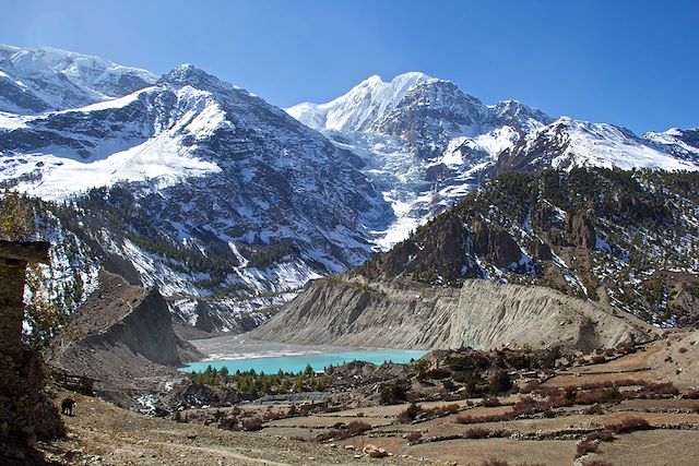 Mustang : Tour des Annapurnas par le Lac Tilicho Voyage Tour des Annapurnas par le Lac Tilicho