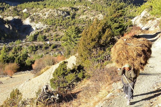 Voyage Grand tour des Annapurnas 