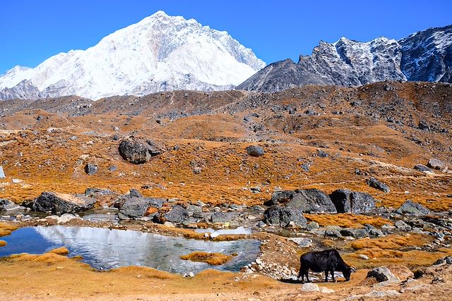 Voyage Kala Pattar, panorama sur l'Everest
