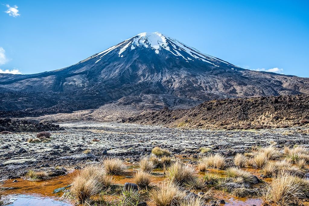 Voyage Randonnées en Pays kiwi