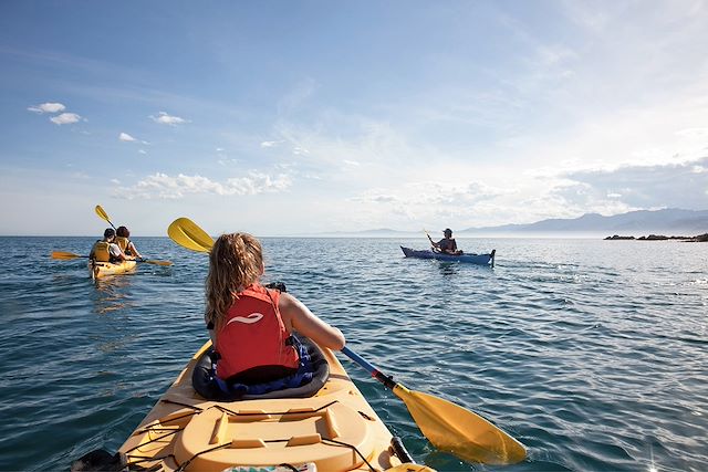 Voyage Faune sauvage de l'île du sud 