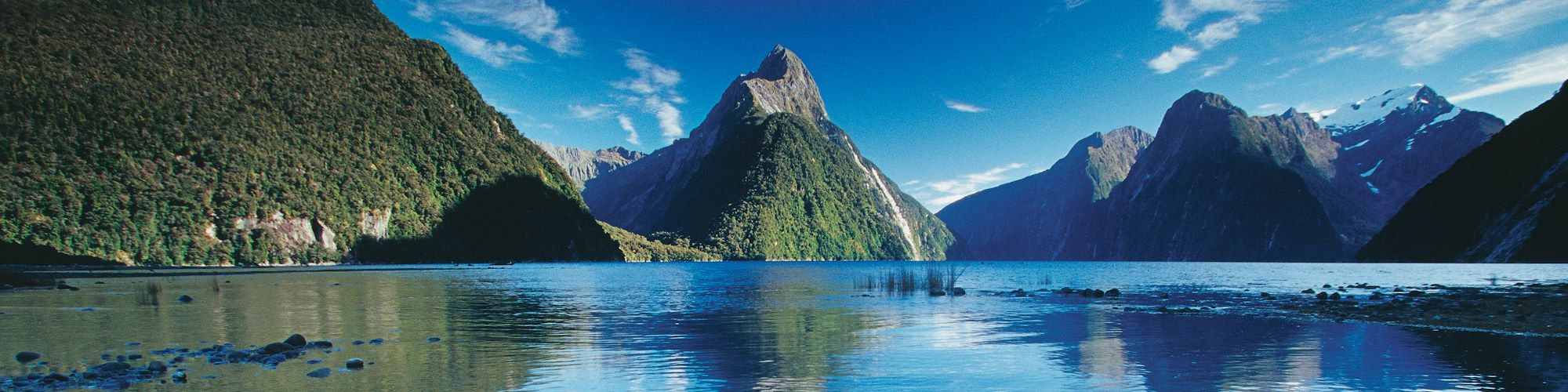 Sauvage Nouvelle-Zélande