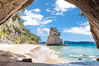 Découverte Nouvelle-Zélande