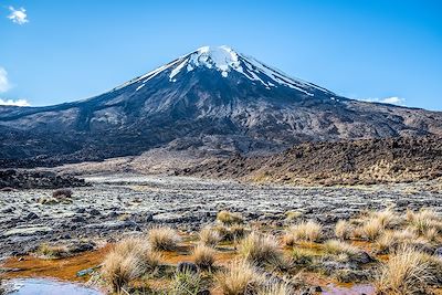 Voyage Volcans Nouvelle-Zélande