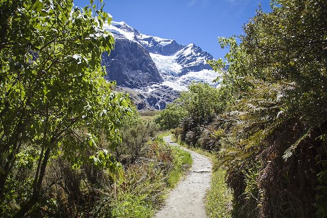 Voyage Aventures hivernales en terres Maori