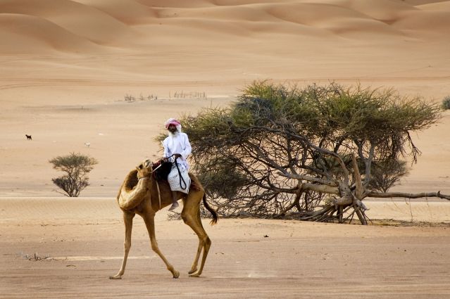 Voyage Oman : de l'eau, du sable et des hommes 3