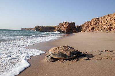 Voyage Bord de mer et îles Oman