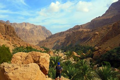 Voyage  Canyon et oasis