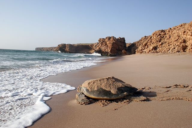 Voyage : Au pays de Sindbad le marin Voyage Au pays de Sindbad le marin