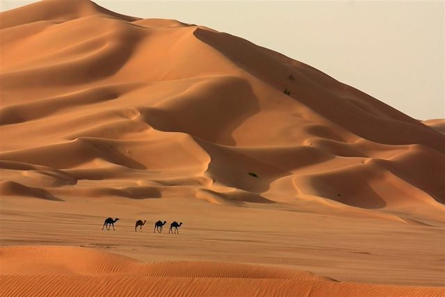 Voyage : Oman, des dunes d'or aux dunes blanches Voyage Oman, des dunes d'or aux dunes blanches