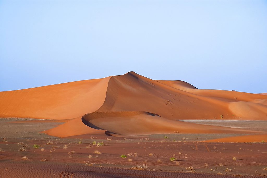Voyage Canyon et oasis