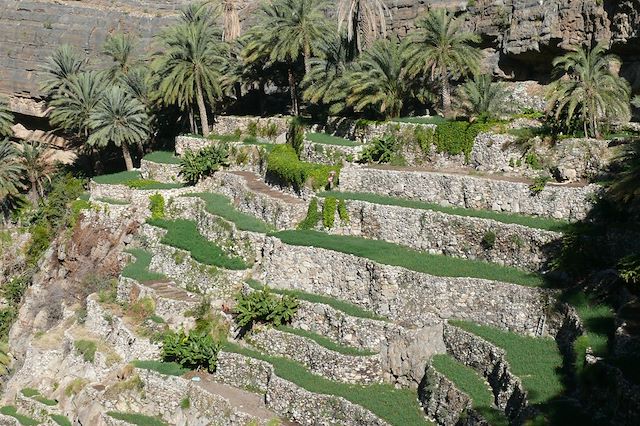 Voyage Randos et baignades à Oman