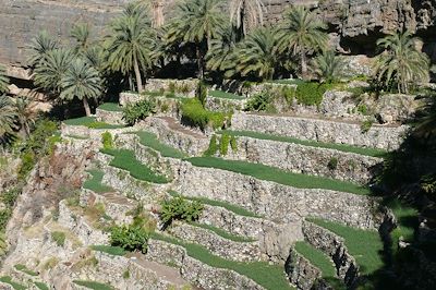 Randonnée Oman