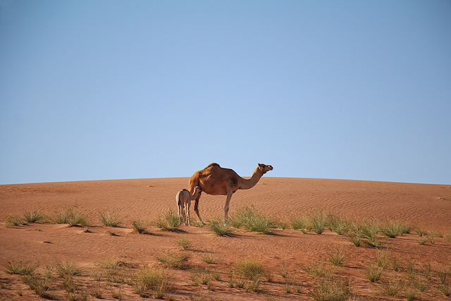 Voyage Randos et baignades à Oman