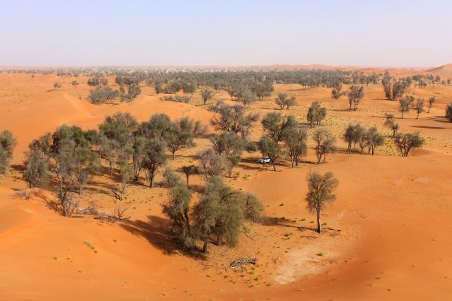 Voyage Oman, des dunes d'or aux dunes blanches