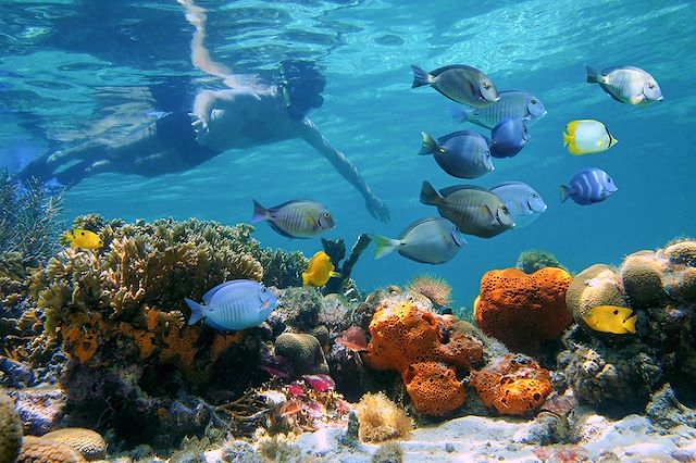 Baignade - Snorkeling : Balade panaméenne, du Pacifique aux Caraïbes Voyage Balade panaméenne, du Pacifique aux Caraïbes