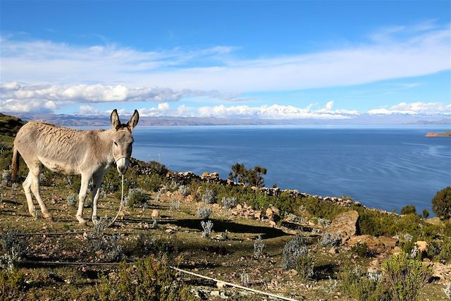 Désert : Sud Lipez, Salar d'Uyuni et Machu Picchu Voyage Sud Lipez, Salar d'Uyuni et Machu Picchu