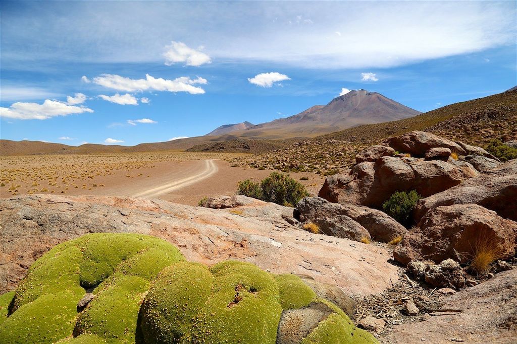 Sud Lipez, Salar d'Uyuni et Machu Picchu