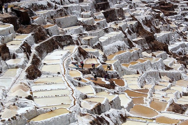 Voyage : Canyon de Colca et hauts plateaux andins Voyage Canyon de Colca et hauts plateaux andins