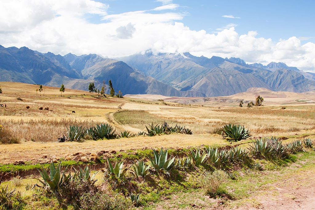 Voyage Arequipa et Canyon de Colca