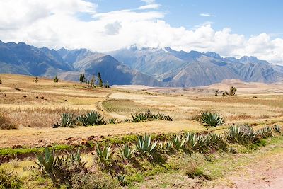 Voyage  Lac Titicaca