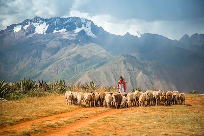 Voyage  Cuzco et Machu Picchu