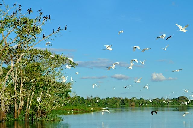 Voyage Aventure péruvienne : cimes andines et Amazonie
