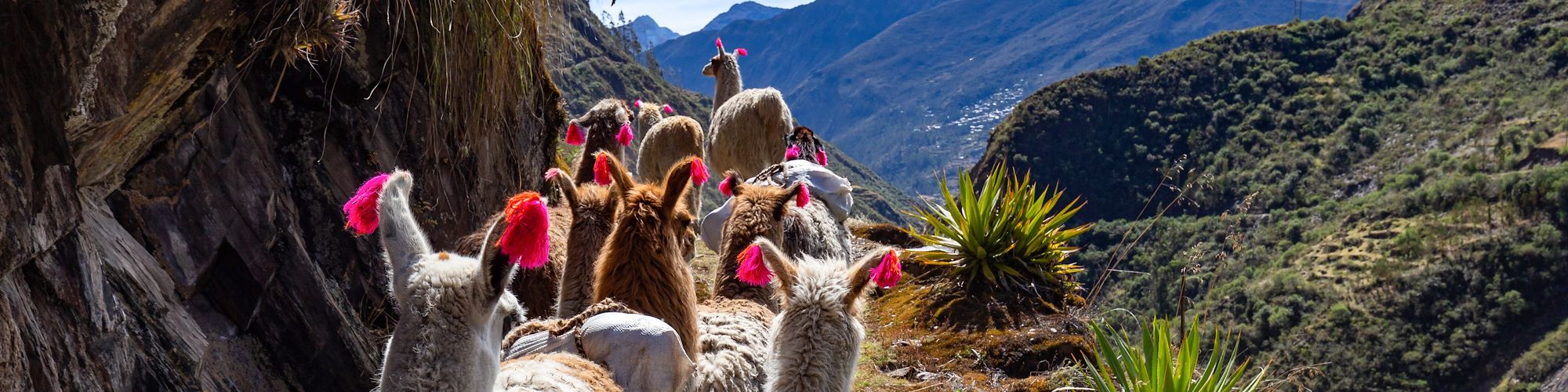 Voyage  Arequipa et Canyon de Colca